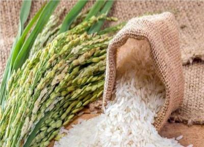 آیا آرسنیک موجود در برنج نگران کننده است؟